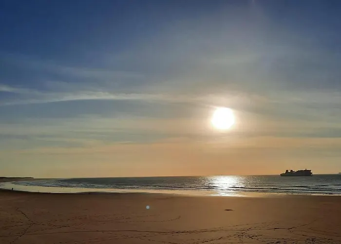 Le Jules Verne - Idéalement Situé Avec Sauna *